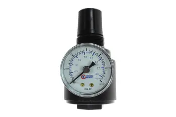 26 Series 1/4" Regulator, Gauge, 0-60 psi