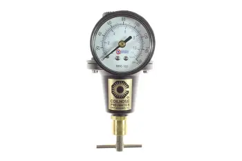 Heavy Duty Series Regulator, 1/4", Gauge, 0-200 psi, Tamperproof