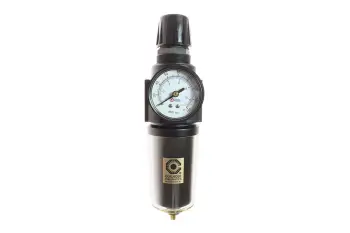27 Series 1/2" Integral Filter/Regulator, Gauge, 0-25 psi, Metal Bowl with Sight Glass, 5&micro; Element